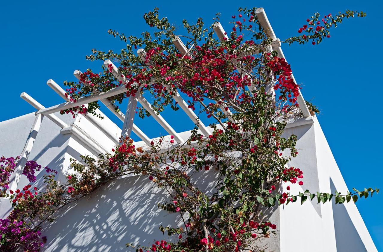 Casa Cozy Villa Mykonos Town ภายนอก รูปภาพ