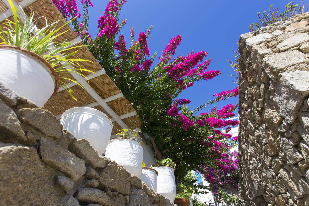 Casa Cozy Villa Mykonos Town ภายนอก รูปภาพ